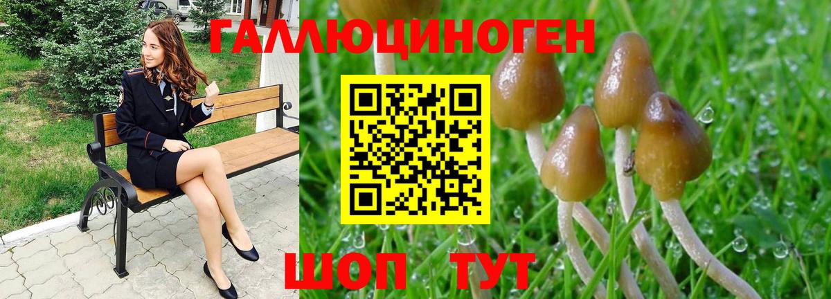 Галлюциногенные грибы Psilocybine cubensis Печора